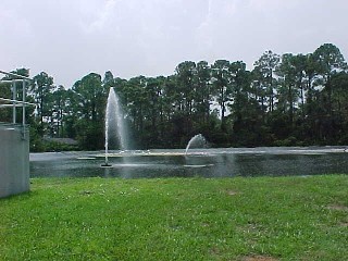 Wastewater Treatment Plant Pond