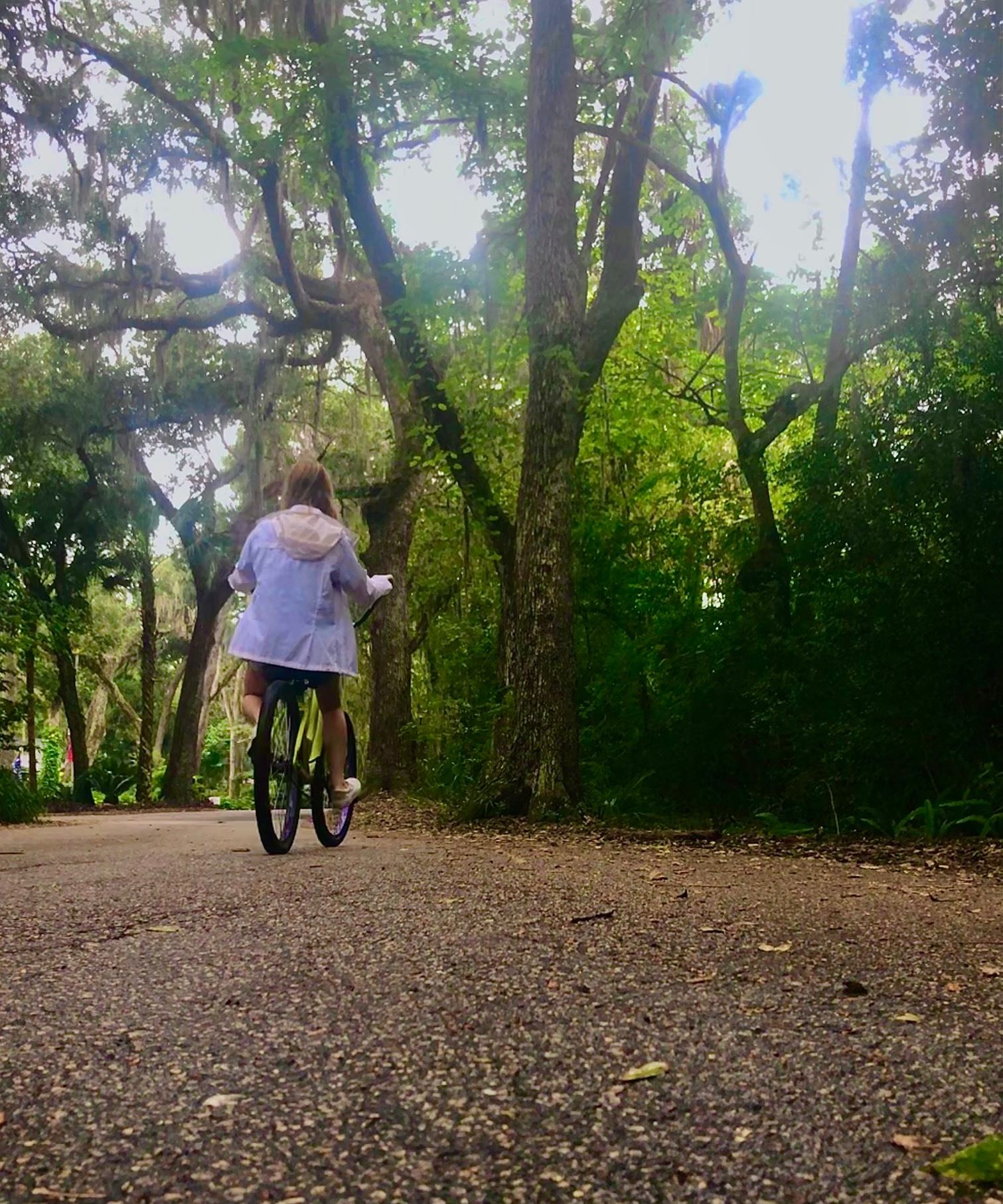 Atlantic Beach Photo Contest Entry 1 Photo